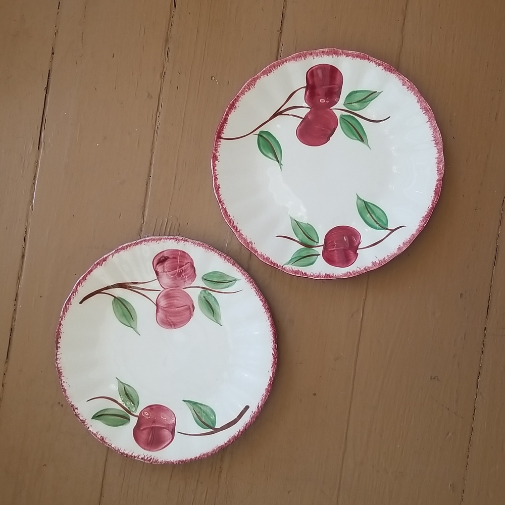 Set of 2 Blue Ridge Crab Apple Dessert Plates